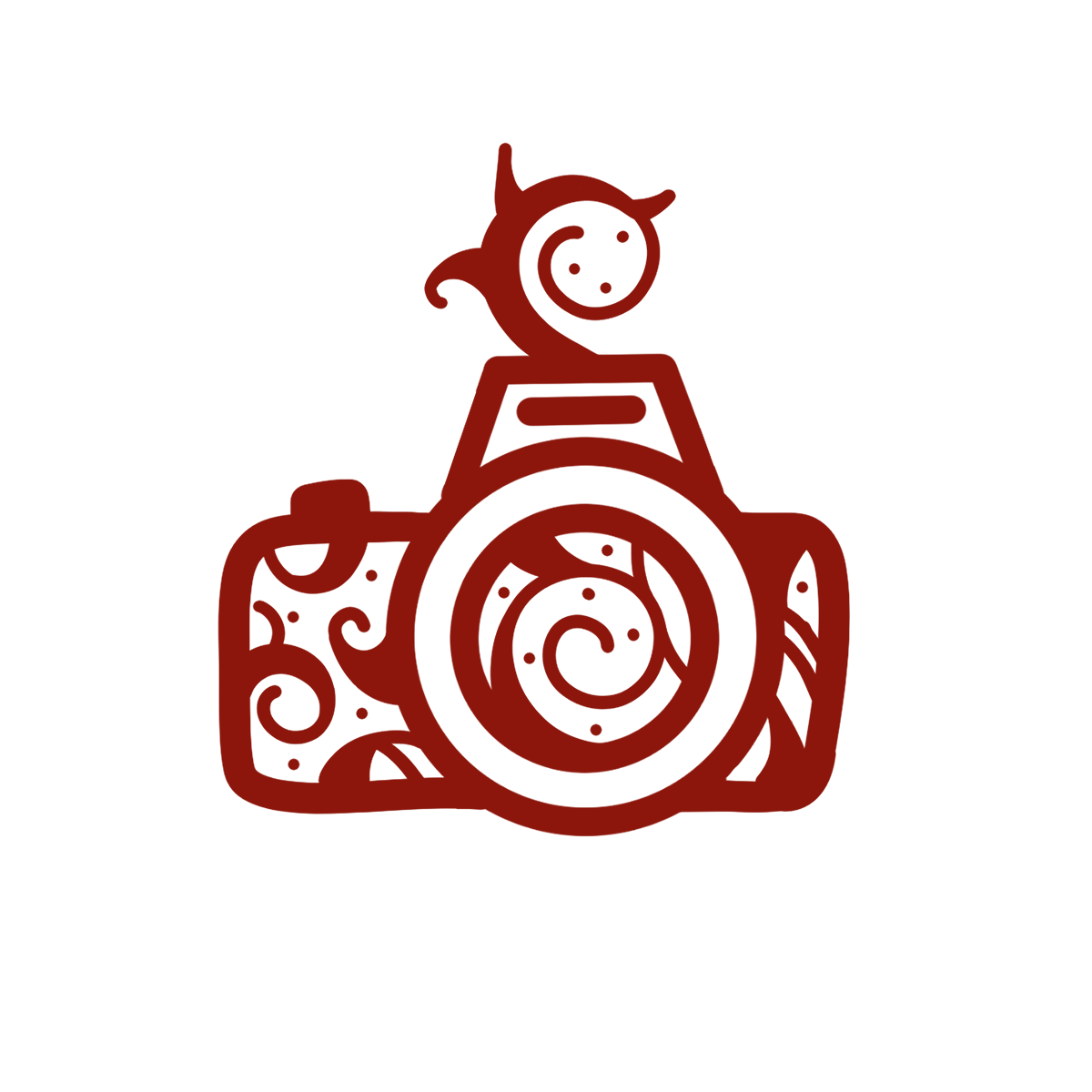 camera_red_icon